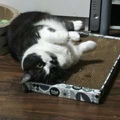 Фото отзыва 10721822