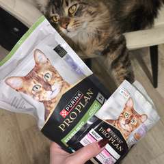 Фото отзыва 10914422