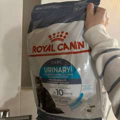 Фото отзыва 10798221