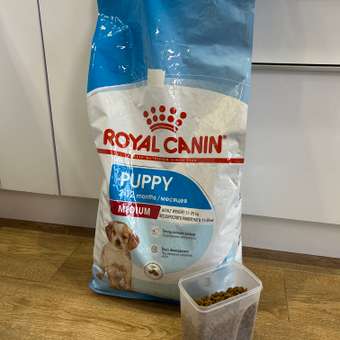 Корм для щенков ROYAL CANIN Medium Puppy средних пород 14кг: отзыв пользователя. Зоомагазин Зоозавр