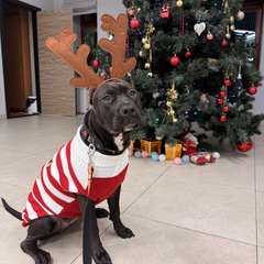 Фото отзыва 10744181