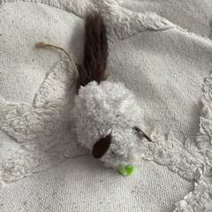 Фото отзыва 11040022