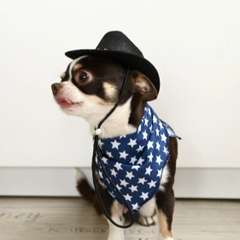Фото отзыва 11488426
