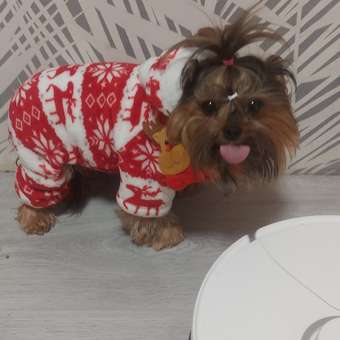 Шарф для собак и кошек Зоозавр: отзыв пользователя. Зоомагазин Зоозавр