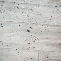 Фото отзыва 11200731