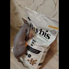 Видео отзыва 10572803