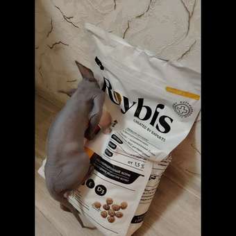 Корм для котят Roybis 4кг сухой с курицей полнорационный для активного роста и развития: отзыв пользователя. Зоомагазин Зоозавр