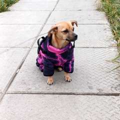 Фото отзыва 10566085