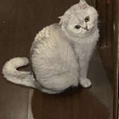 Фото отзыва 10780589