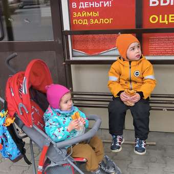 Коляска прогулочная Babyton Zoo Red: отзыв пользователя ДетМир
