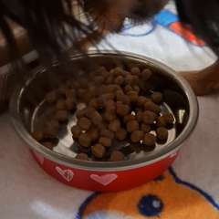 Видео отзыва 10682828