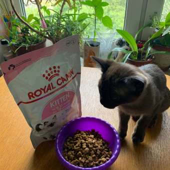 Корм сухой для котят ROYAL CANIN Kitten 300г: отзыв пользователя. Зоомагазин Зоозавр
