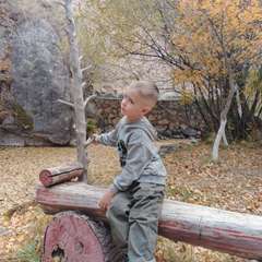 Фото отзыва 10524034