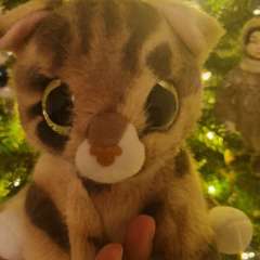 Фото отзыва 10696001