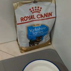 Фото отзыва 10922476