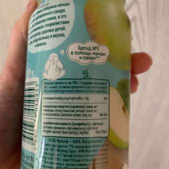 Пюре ФрутоНяня Яблоко с 4 мес 250 г: отзыв пользователя ДетМир