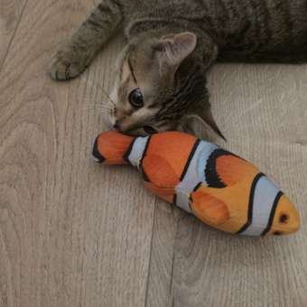 Игрушка для кошек Barbaks Рыба-клоун с кошачьей мятой мягкая 19*11см: отзыв пользователя. Зоомагазин Зоозавр