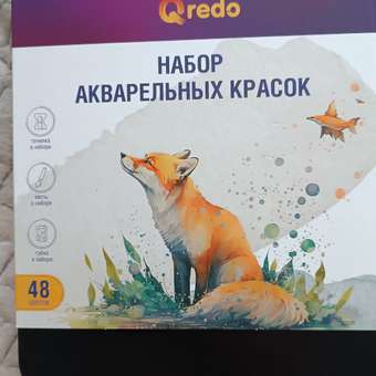 Краски акварель Qredo 48 цв.: отзыв пользователя Детский Мир