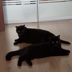 Фото отзыва 11038896