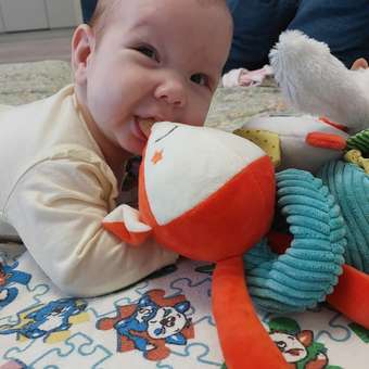 Игрушка Happy Baby: отзыв пользователя Детский Мир