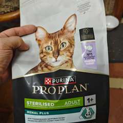 Фото отзыва 10898807