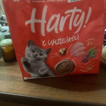 Корм для котят Harty 0.3кг с индейкой сухой: отзыв пользователя. Зоомагазин Зоозавр