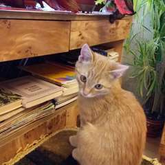 Фото отзыва 10536250