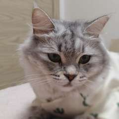 Фото отзыва 10613522