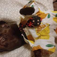 Фото отзыва 10750341