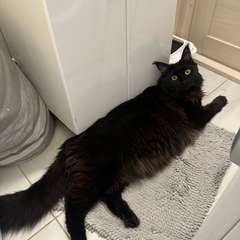 Фото отзыва 10651545