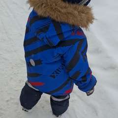 Фото отзыва 10850030