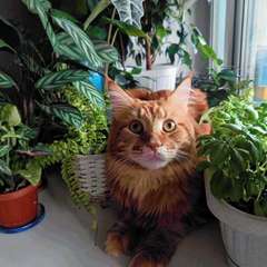 Фото отзыва 10687976