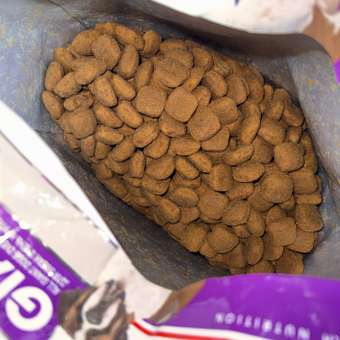 Корм для собак ROYAL CANIN гигантских пород более 45кг 15кг: отзыв пользователя. Зоомагазин Зоозавр