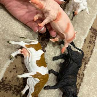 Игровой набор TrendToys Маленький набор животных: отзыв пользователя Детский Мир