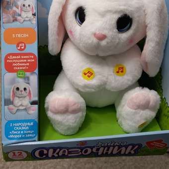 Мягкая игрушка Мульти Пульти зайка Сказочник: отзыв пользователя Детский Мир