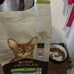 Фото отзыва 10727214