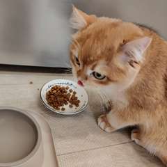 Фото отзыва 10925954