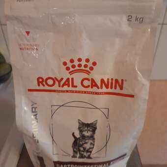 Корм для котят Royal Canin 2кг Gastrointestinal Kitten при нарушениях пищеварения сухой: отзыв пользователя. Зоомагазин Зоозавр