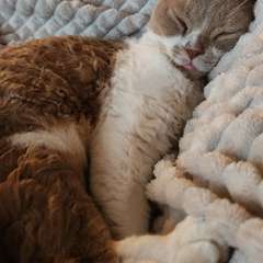 Фото отзыва 10578896