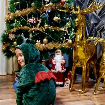 Костюм Grimmo Змей-горыныч: отзыв пользователя Детский Мир