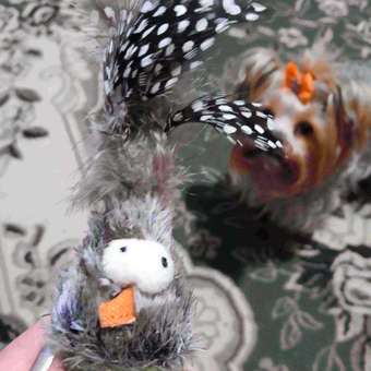 Игрушка для кошек GiGwi Catch and Fetch Eco Птичка со звуковым чипом 85020: отзыв пользователя. Зоомагазин Зоозавр