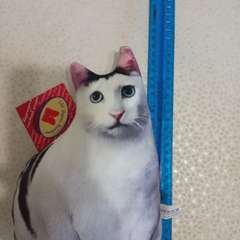 Фото отзыва 5648