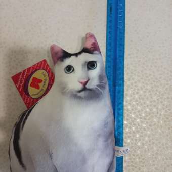Мягкая игрушка Malvina котик Бендер: отзыв пользователя магазина низких цен ЕЩЁ