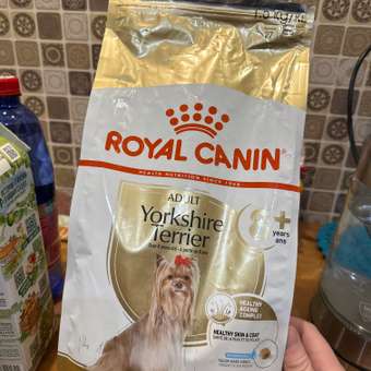 Корм для собак ROYAL CANIN породы йоркширский терьер 8+ пожилые 1.5кг: отзыв пользователя. Зоомагазин Зоозавр