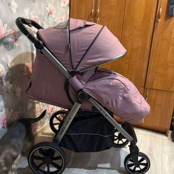 Коляска прогулочная Babyton Cruise Purple розовый: отзыв пользователя Детский Мир