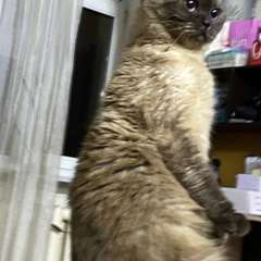 Фото отзыва 10750987