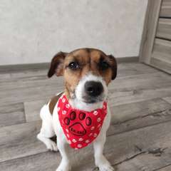 Фото отзыва 4921683