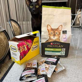 Корм сухой для кошек PRO PLAN DELICATE DIGESTION 1.5 кг с курицей для стерилизованных: отзыв пользователя. Зоомагазин Зоозавр