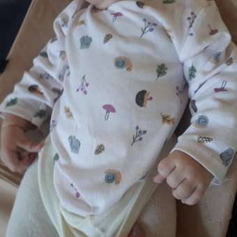 Боди Baby Gо 2 шт: отзыв пользователя Детский Мир