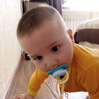 Пустышка Philips Avent ортодонтическая от 6 мес. 2 шт.: отзыв пользователя ДетМир